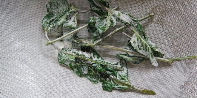 Рецепт торта шоколад-мята-лимон