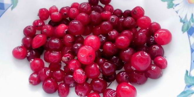 Рецепт торта сказочная клюква