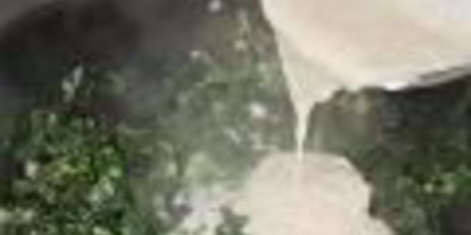 Рецепт запеканки из зелени в сливочном соусе