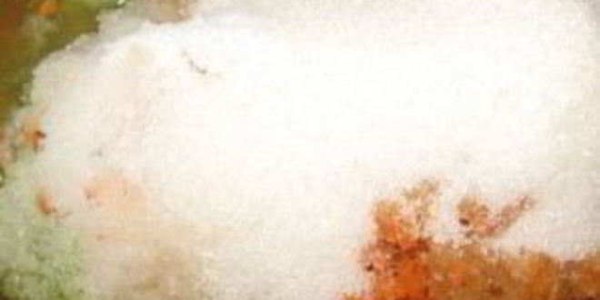 Рецепт аджики из кабачков