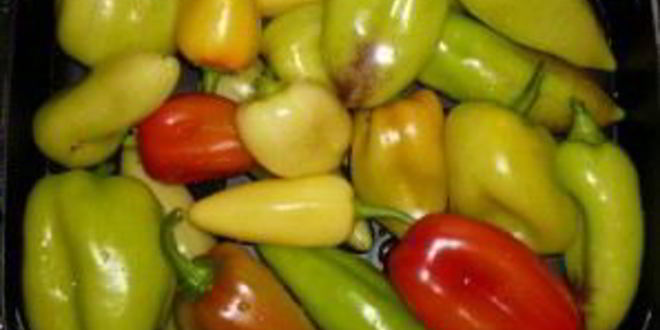 Рецепт аджики из томатов