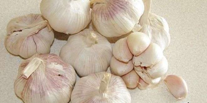 Рецепт аджики с помидорами