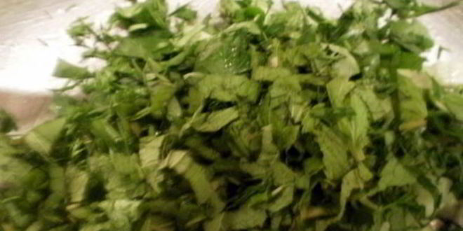 Рецепт джаджика