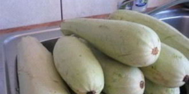 Рецепт кабачков в томатном соусе на зиму