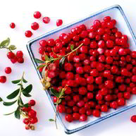 Рецепт Компота из барбариса