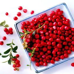 Рецепт Компота из барбариса