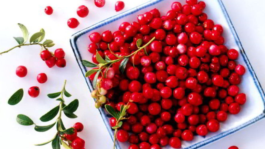 Рецепт компота из барбариса