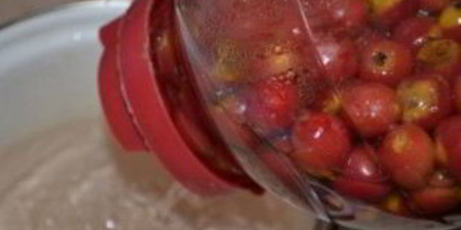 Рецепт компота из боярышника