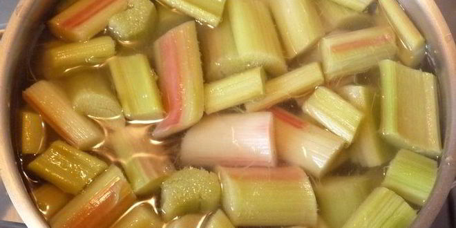 Рецепт компота из ревеня