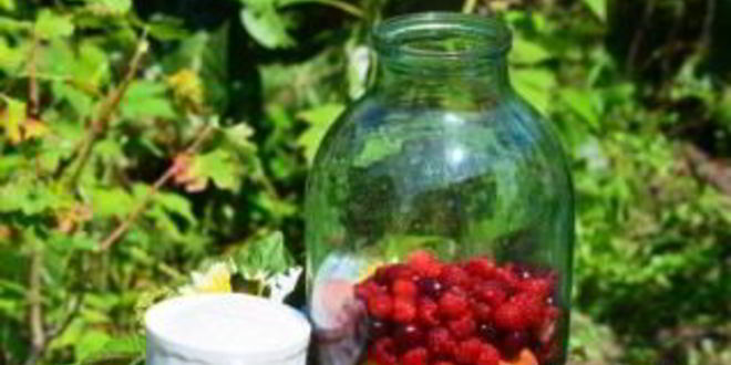 Рецепт компота из вишни и малины