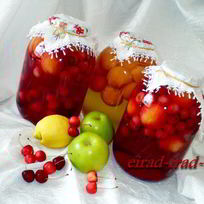 Рецепт Компота