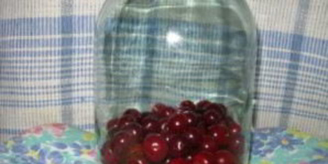 Рецепт вишневого компота