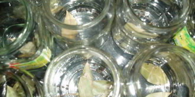 Рецепт лечо по-домашнему