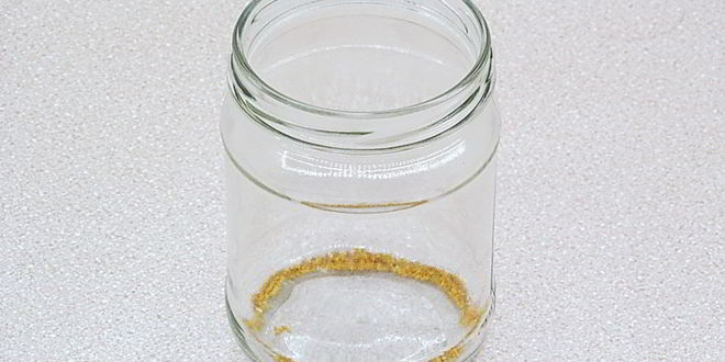 Рецепт маринованных чесночных стрелок с горчицей