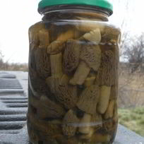 Маринованные грибы