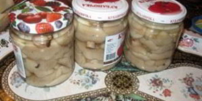 Рецепт маринованных маслят