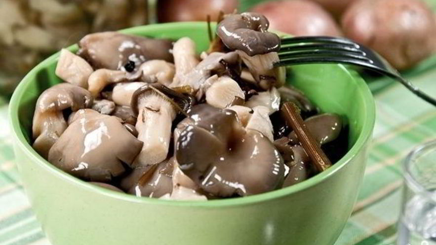 Рецепт маринованных вешенок