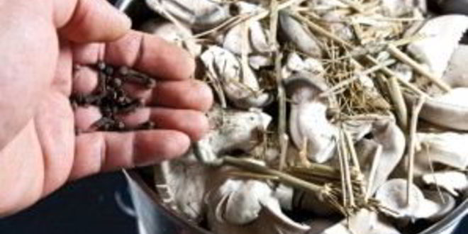 Рецепт маринованных вешенок