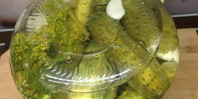 Рецепт огурцов маринованных крепких орлы