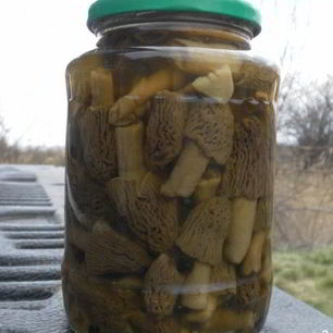 Рецепт Сморчков маринованных