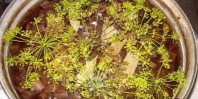 Рецепт сморчков маринованных