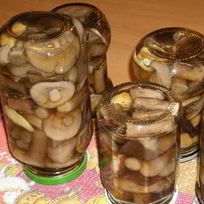 Рецепт Подберезовиков на зиму