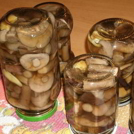 Рецепт Подберезовиков на зиму