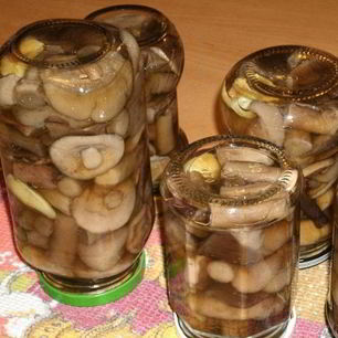 Рецепт Подберезовиков на зиму