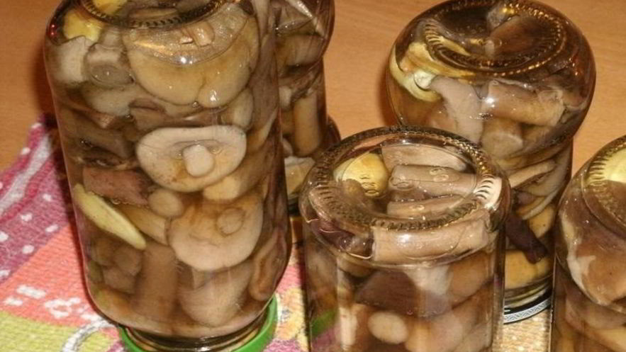 Рецепт подберезовиков на зиму