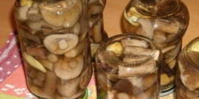 Рецепт подберезовиков на зиму