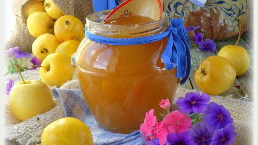Рецепт домашнего яблочного повидла