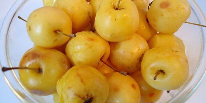 Рецепт домашнего яблочного повидла