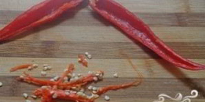 Рецепт консервированной пекинской капусты