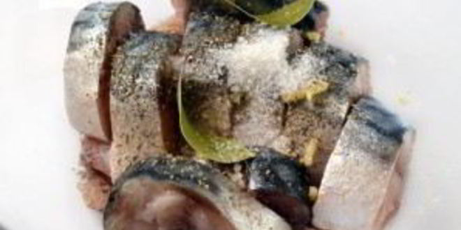 Рецепт малосольной скумбрии