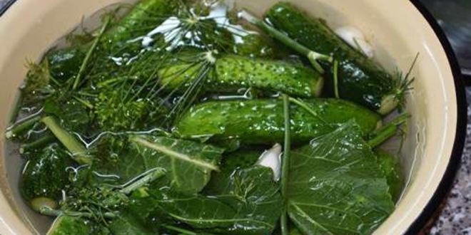 Рецепт малосольных хрустящих огурчиков