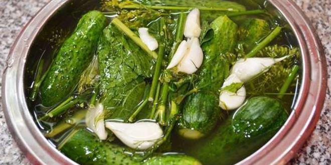 Рецепт малосольных хрустящих огурчиков