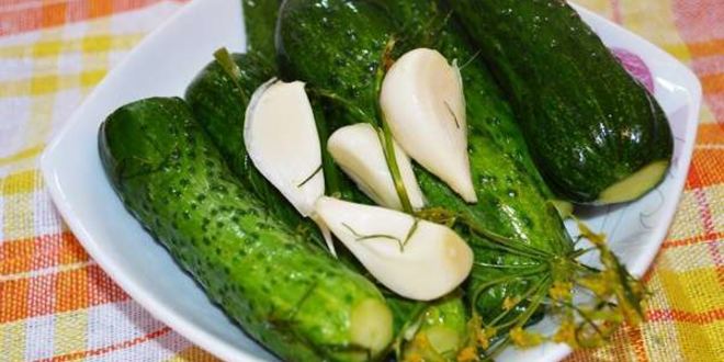 Рецепт малосольных хрустящих огурчиков