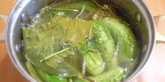 Рецепт малосольных огурчиков в кастрюле