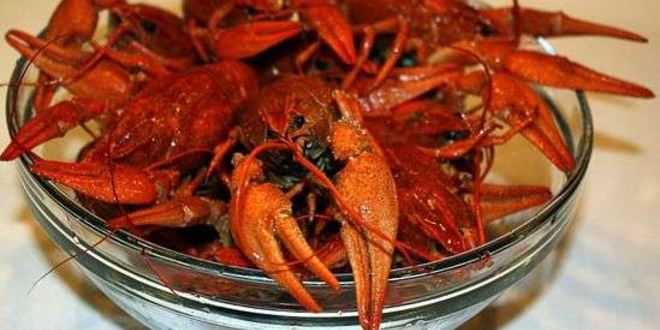 Рецепт малосольных огурчиков