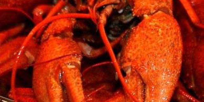 Рецепт малосольных огурчиков