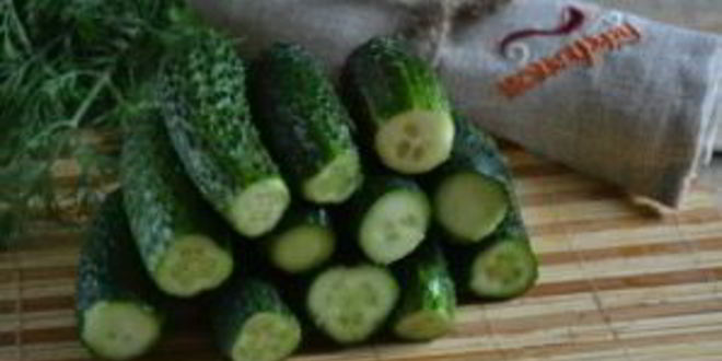 Рецепт малосольных огурцов без закатки