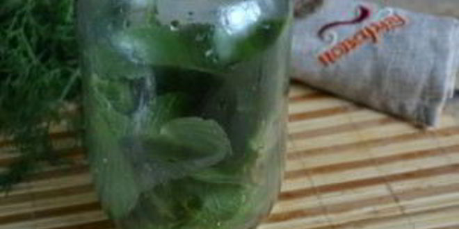 Рецепт малосольных огурцов без закатки