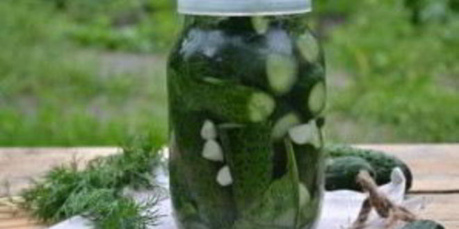 Рецепт малосольных огурцов без закатки