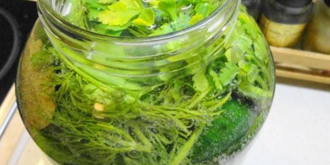 Рецепт малосольных огурцов на минеральной воде