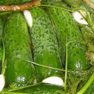 Рецепт Малосольных огурцов с горчицей