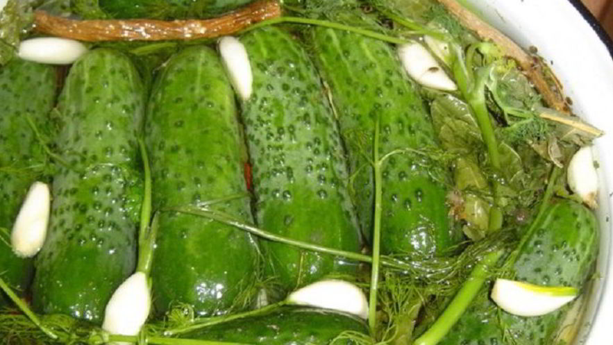 Рецепт малосольных огурцов с горчицей