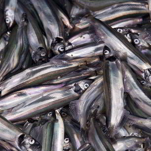 Рецепт Мойвы пряного посола