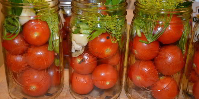 Рецепт помидоров консервированных
