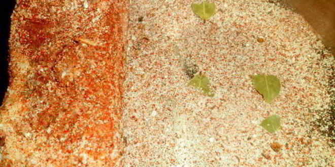 Рецепт пряного сала