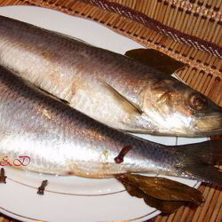 Рецепт Сельди домашнего посола